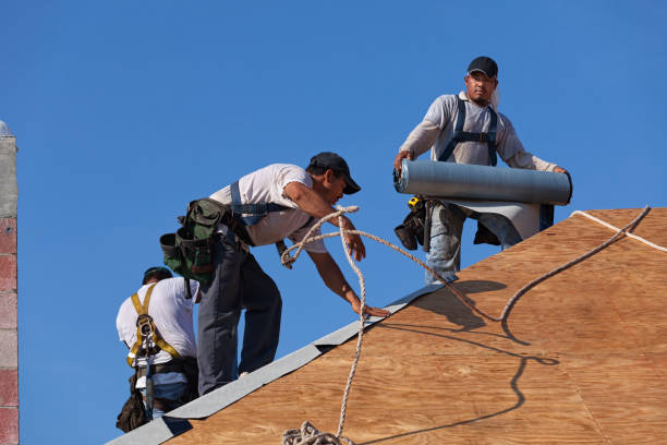 Best Gutter Installation and Roofing  in Elroy, WI